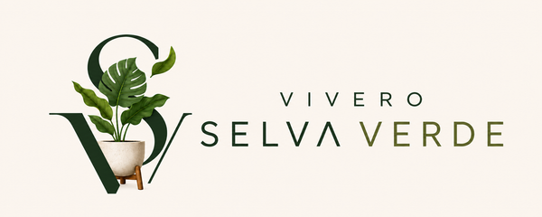 Vivero Selva Verde