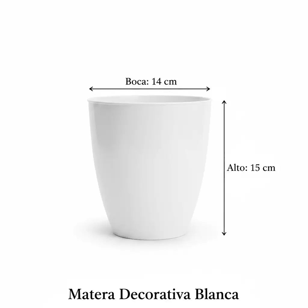 Anturio Rojo + Matera Decorativa Blanca - Vivero Selva Verde